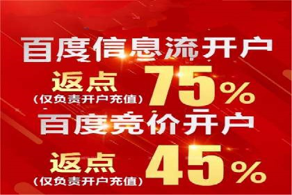 百度竞价推广运营策略：成功案例解析